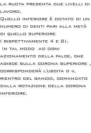 la ruota presenta due livelli di lavoro. Quello inferiore è dotato di un numero di denti pari alla metà di quello superiore ( rispettivamente 4 e 8). In tal modo ad ogni azionamento della falce, che agisce sulla corona superiore , corrisponderà l'uscita o il rientro del gancio, comandato dalla rotazione della corona inferiore. 