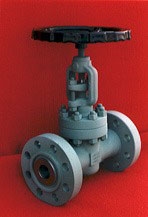 Forged Valve